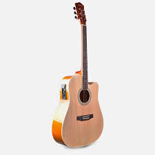 Semi Acoustic Guitar